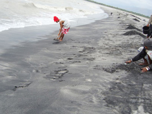 菲律賓含鐵含砂金礦區考察中